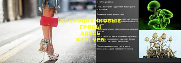 spice Алексин