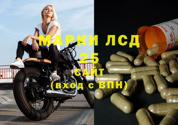 spice Алексин