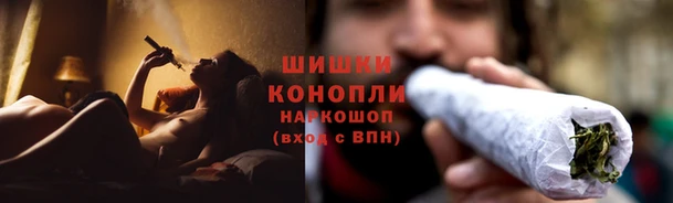 spice Алексин